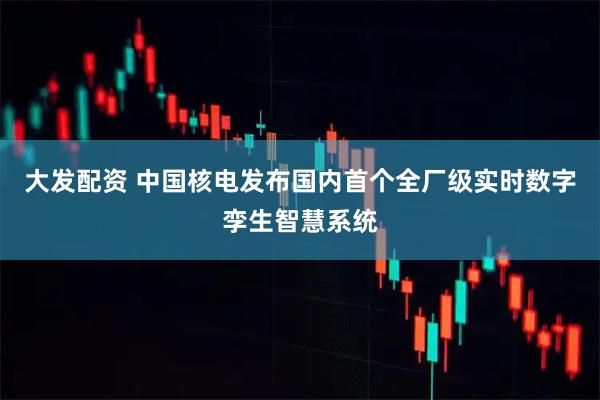 大发配资 中国核电发布国内首个全厂级实时数字孪生智慧系统