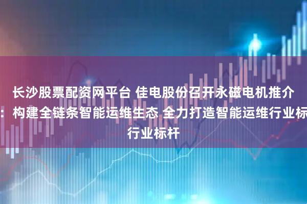 长沙股票配资网平台 佳电股份召开永磁电机推介会：构建全链条智能运维生态 全力打造智能运维行业标杆
