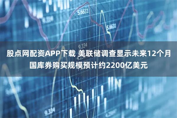 股点网配资APP下载 美联储调查显示未来12个月国库券购买规模预计约2200亿美元