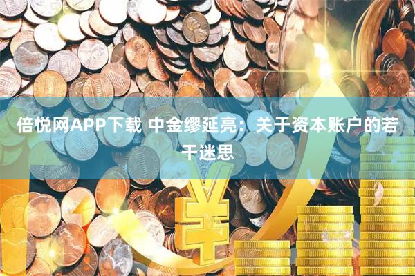 倍悦网APP下载 中金缪延亮：关于资本账户的若干迷思